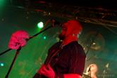 DSC_5621.jpg